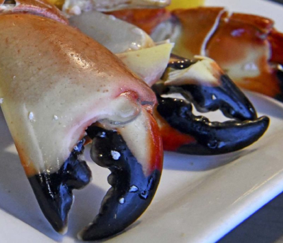 Website for Stone Crab Business